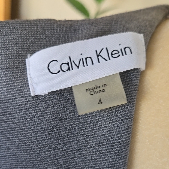 Calvin Klein Gray Ruched Sheath Mini Dress - Picture 7 of 7